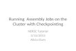 Running   Assembly Jobs  on the C luster with  Checkpointing