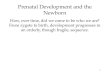 Prenatal Development and the Newborn
