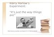Harry Harlow’s Experiment: “ It’s just the way things are”