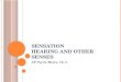 Sensation Hearing and Other Senses