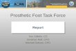 Prosthetic Foot Task Force