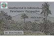 Geothermal in Indonesia – Developers’ Perspective
