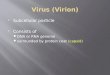 Virus ( Virion )