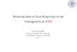 Potential Role of V iral  P roperties in the Pathogenesis of  AIDS