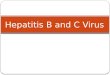 Hepatitis  B and C Virus