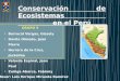 Conservación de Ecosistemas                                 en el Perú