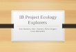 IB Project Ecology Explorers