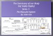 The Sanctuary of our Body THE THIRD TEMPLE Series  5   The Muscular System  By : sister rose