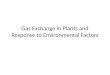Gas Exchange in Plants and Response to Environmental Factors