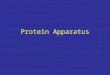 Protein Apparatus
