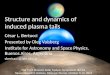 Structure and dynamics of induced plasma tails