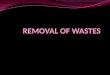 REMOVAL OF WASTES
