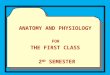 Anatomy and Physiology  For  The First Class  2 nd  Semester