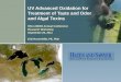 UV Advanced Oxidation for Treatment of Taste and Odor and Algal Toxins