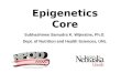 Epigenetics  Core