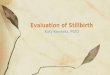 Evaluation of Stillbirth