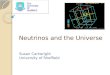 Neutrinos and the Universe