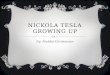 Nickola Tesla Growing up