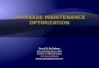 Database Maintenance Optimization