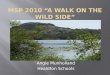 MSP 2010 “A Walk on the wild side”