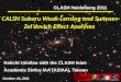 CALSH Subaru Weak-Lensing and  Sunyaev-Zel’dovich  Effect Analyses