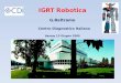IGRT Robotica G.Beltramo    Centro Diagnostico Italiano