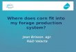Where does corn fit into my forage production system?