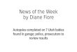 News of the Week by Diane Fiore