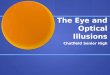 The Eye and Optical Illusions