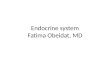 Endocrine system Fatima  Obeidat , MD