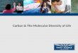 Carbon & The Molecular Diversity of Life