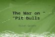The War on  “Pit bulls”