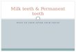 Milk teeth & Permanent teeth