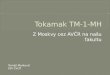 Tokamak  TM-1-MH