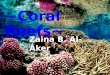 ~Coral Reefs~