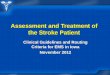 Assessment and Treatment of the Stroke Patient
