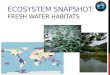 Ecosystem Snapshot: FRESH Water habitats