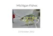 Michigan Fishes
