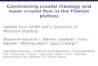 Constraining crustal rheology and lower crustal flow in the Tibetan  plateau