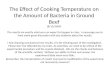 The Effect of Cooking Temperature on the Amount of Bacteria in Ground Beef (8/13/2009)