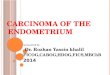 CARCINOMA OF THE  ENDOMETRIUM