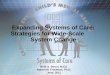 Expanding Systems of Care: Strategies for Wide-Scale        System Change
