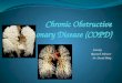 C hronic  O bstructive  P ulmonary  D isease (COPD)