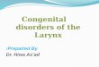 Congenital disorders of the Larynx Prepaired  By: Dr.  Hiwa As’ad