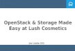 OpenStack &  Storage Made Easy at Lush Cosmetics