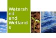 Watershed and Wetlands
