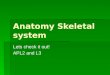 Anatomy Skeletal system