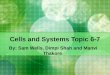 Cells and Systems Topic 6-7