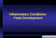 Inflammatory Conditions- Fetal Development