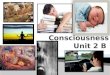 Consciousness Unit 2 B
